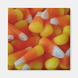 Kandismais-Magnet Magnet
