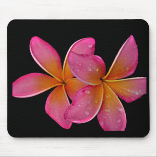 Kaneohe SonnendurchbruchPlumeria Mousepad