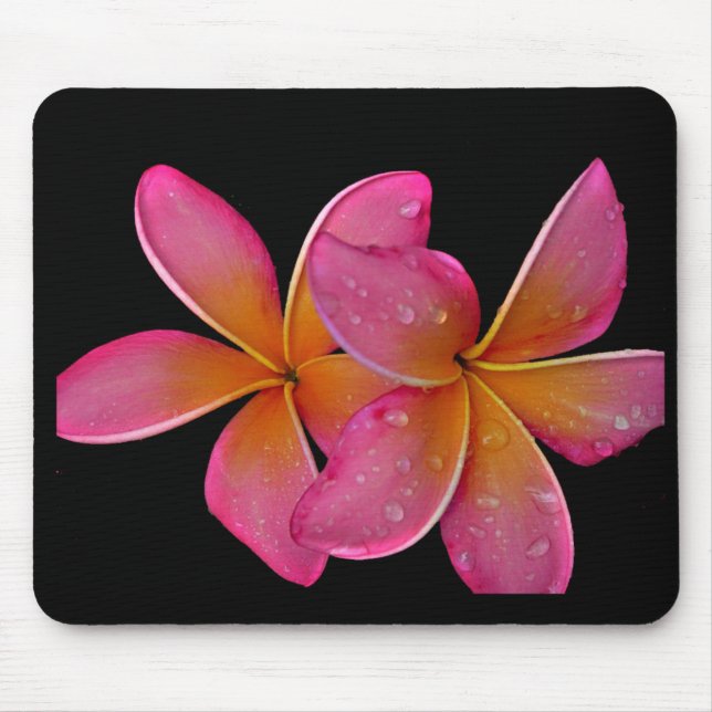 Kaneohe SonnendurchbruchPlumeria Mousepad (Vorne)