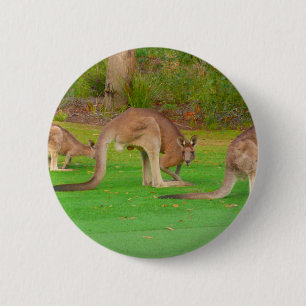 Kanga Button