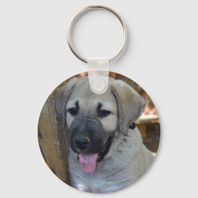 Kangal - Anatolischer Schafhund Schlüsselanhänger (Vorderseite)