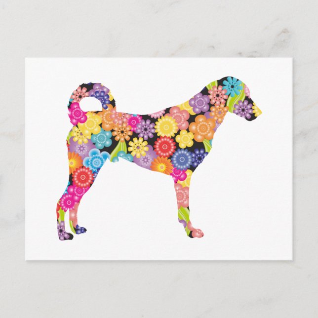 Kangal Dog Postkarte (Vorderseite)