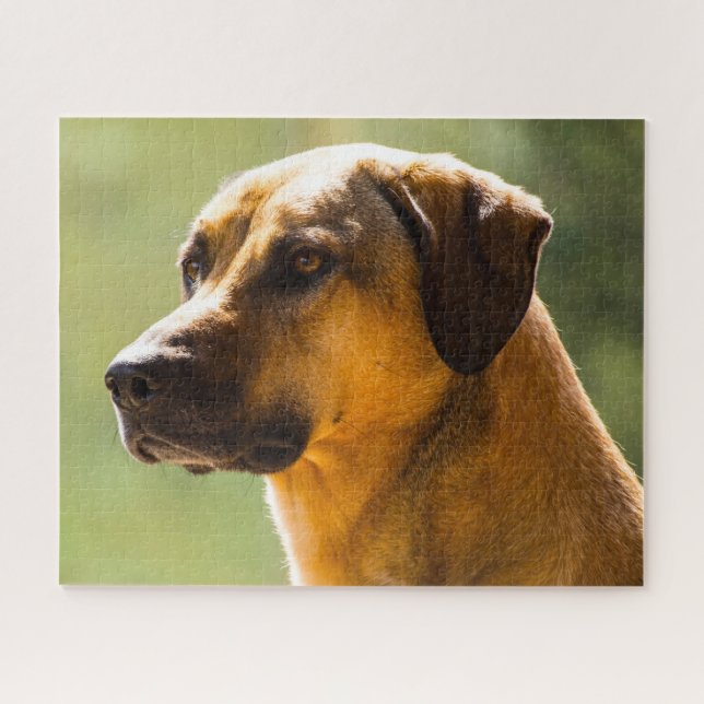 Kangal Hund. Puzzle (Horizontal)
