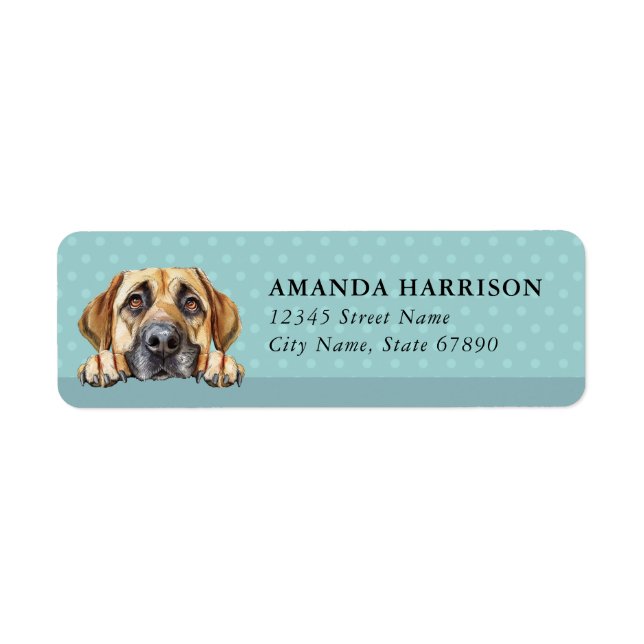 Kangal-Hund Rücksendeadressetiketten (Vorne)