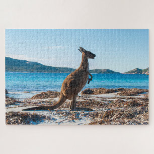 Kangaroo am Strand in Lucky Bay, 1014 Stück Puzzle