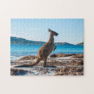 Kangaroo am Strand in Lucky Bay, 252 Stück Puzzle