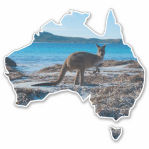 Kangaroo am Strand Lucky Bay Australien Aufkleber