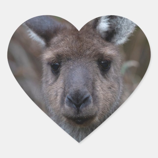 Kangaroo Australien Herz-Aufkleber (Vorderseite)