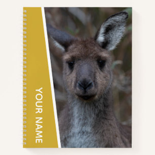 Kangaroo Baby Joey Portrait Australien, Gold Notizbuch