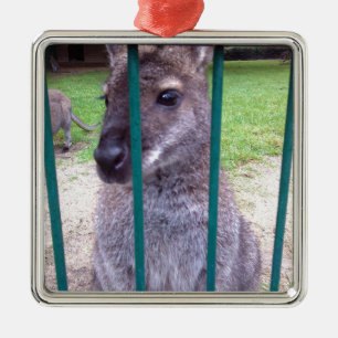 Kangaroo behind bars silbernes ornament