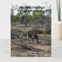 Kangaroo bei der Billabong, Jumbo Birthday Card,