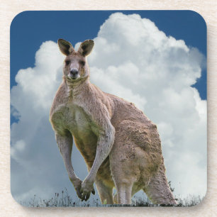 Kangaroo Cork Untersetzer