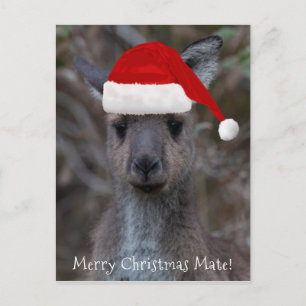 Kangaroo Face Weihnachtsmannmütze Frohe Weihnachts Postkarte