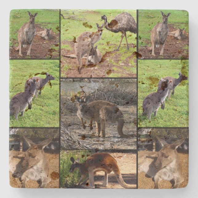 Kangaroo FotoCollage, Steinuntersetzer (Vorderseite)