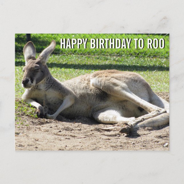 Kangaroo Happy Birthday to Roo Postcard Postkarte (Vorderseite)