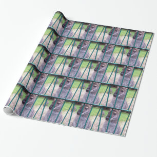Kangaroo hinter Gittern Geschenkpapier