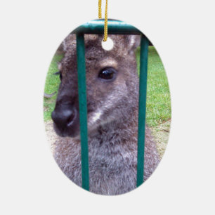 Kangaroo hinter Gittern Keramik Ornament