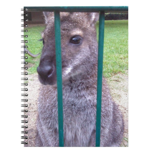 Kangaroo hinter Gittern Notizblock (Vorderseite)
