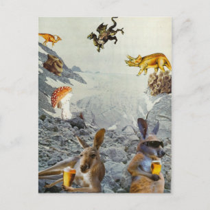 Kangaroo Holiday Postkarten