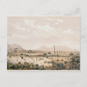 Kangaroo Hunt Postkarte