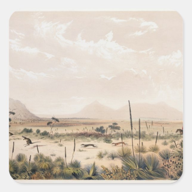 Kangaroo Hunt Quadratischer Aufkleber (Vorderseite)