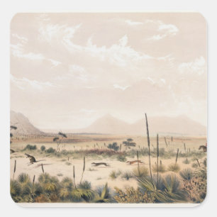 Kangaroo Hunt Quadratischer Aufkleber