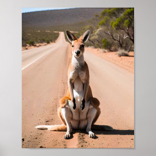 Kangaroo im Freien Poster