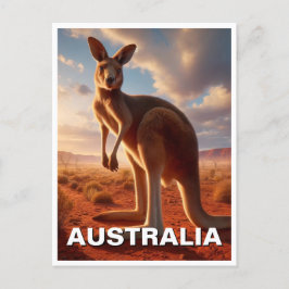 Kangaroo im Outback Australien Postkarte