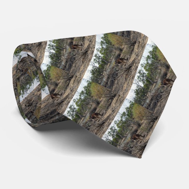 Kangaroo in Billabong Krawatte (Gerollt)