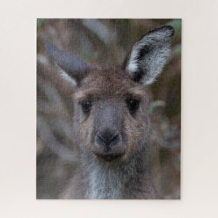 Kangaroo Joey Wildlife, 520 Stück Puzzle