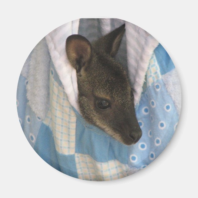 Kangaroo Magnet (Vorne)