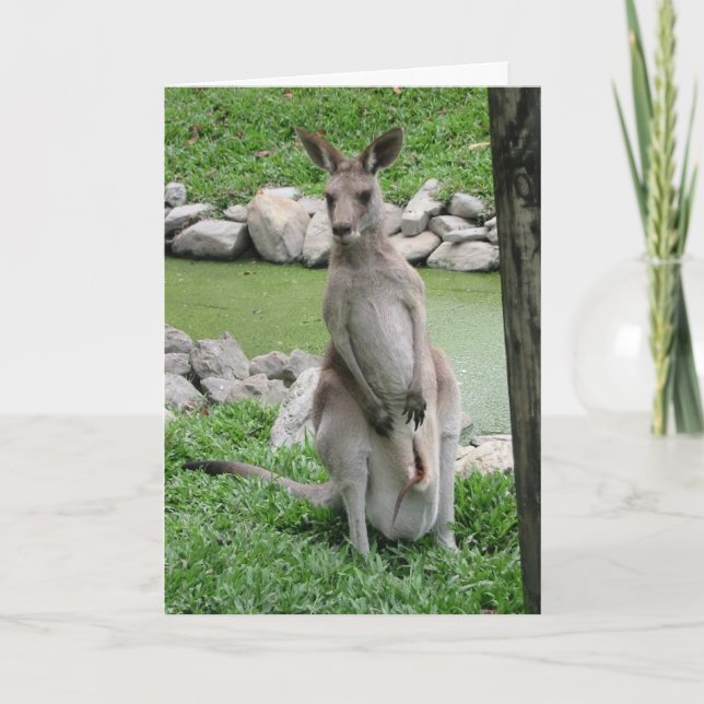 Kangaroo mit Joey Birthday Card Karte (Vorderseite)