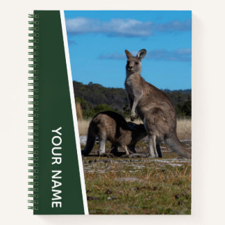 Kangaroo Mutter und Baby in Australien, grün Notizbuch