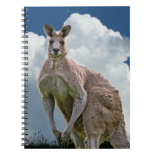 Kangaroo-Notebook Notizblock (Vorderseite)