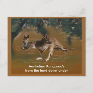 Kangaroo Postcard Postkarte