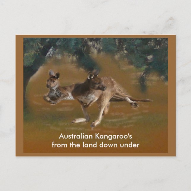 Kangaroo Postcard Postkarte (Vorderseite)