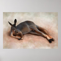 Kangaroo