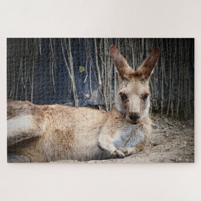 Kangaroo Puzzle (Horizontal)