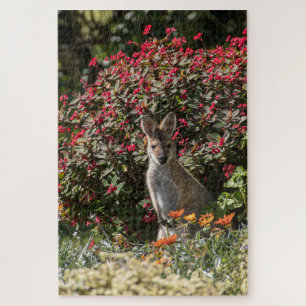 Kangaroo Puzzle