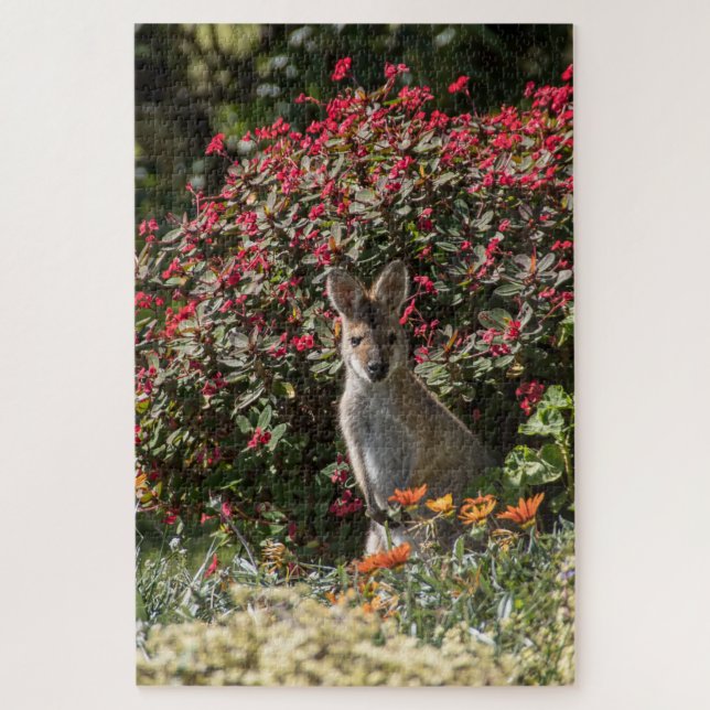 Kangaroo Puzzle (Vertikal)