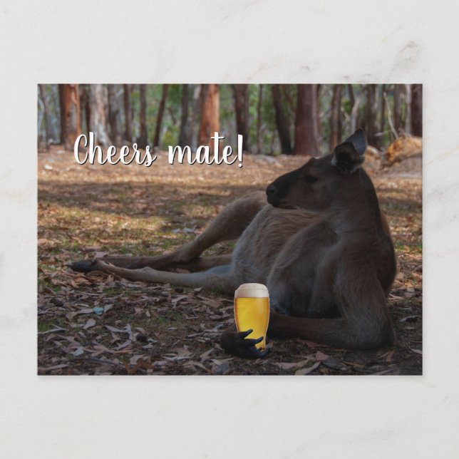 Kangaroo Relaxen mit Bier Australien Funny Postkarte (Vorderseite)