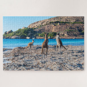 Kangaroo Standoff am Strand, 1014 Stück Puzzle