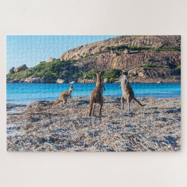 Kangaroo Standoff am Strand, 1014 Stück Puzzle (Horizontal)