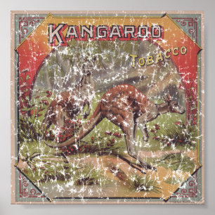 Kangaroo Tobacco 1900 erkrankt Poster