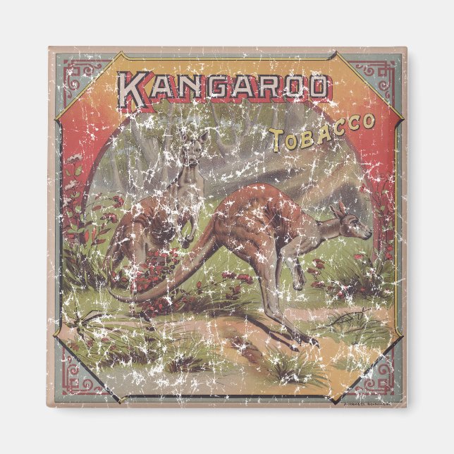 Kangaroo Tobacco 1900 Magnet (Vorne)