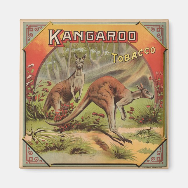 Kangaroo Tobacco 1900 Magnet (Vorne)