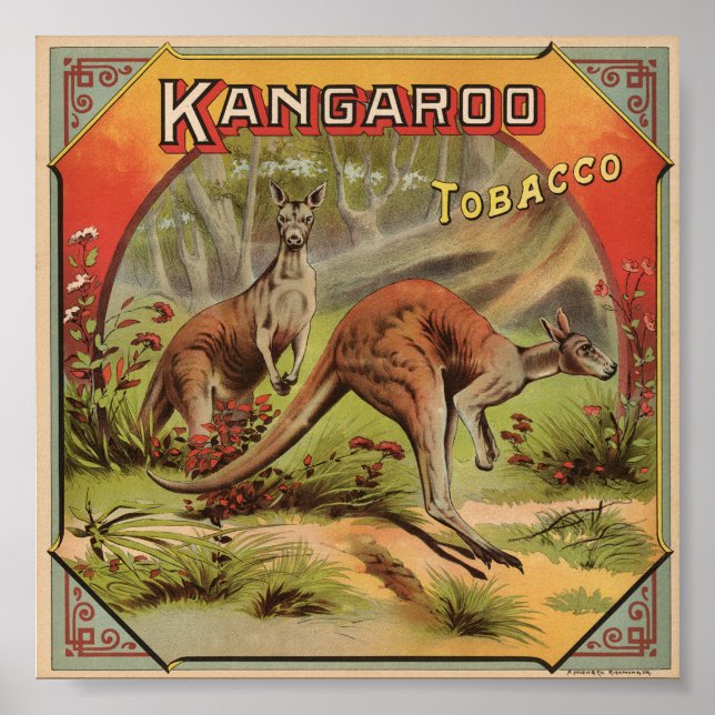 Kangaroo Tobacco 1900 Poster (Vorne)