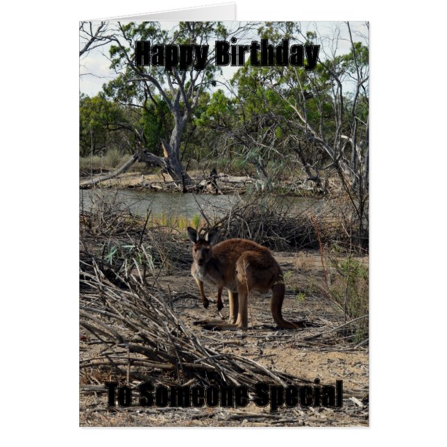 Kangaroo unterdessen bei Billabong, Geburtstagskar (Vorne)