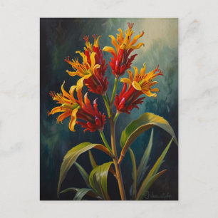 Kangaroos-Blume Postkarte