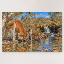 Kangaroos Drinking at Outback Stream Landscape 